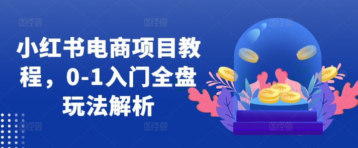 小红书电商项目教程，0-1入门全盘玩法解析-泱泱学习社