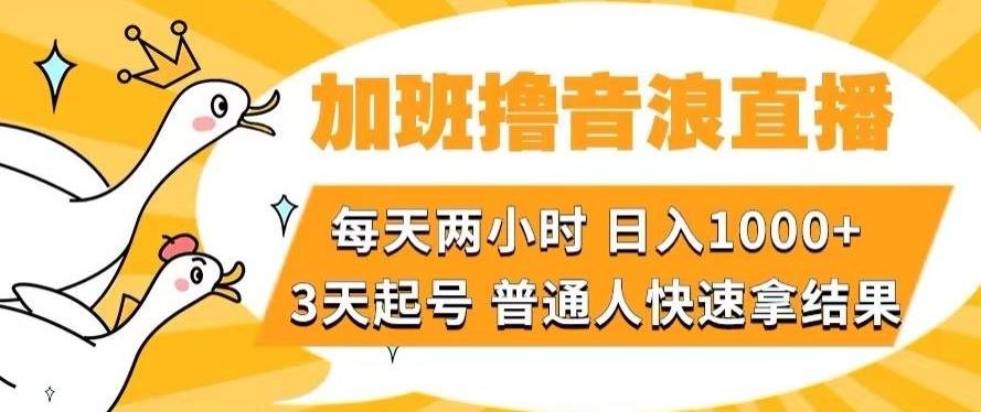 加班撸音浪直播，每天两小时，日入1000+，直播话术才3句，3天起号，普通人快速拿结果【揭秘】-泱泱学习社
