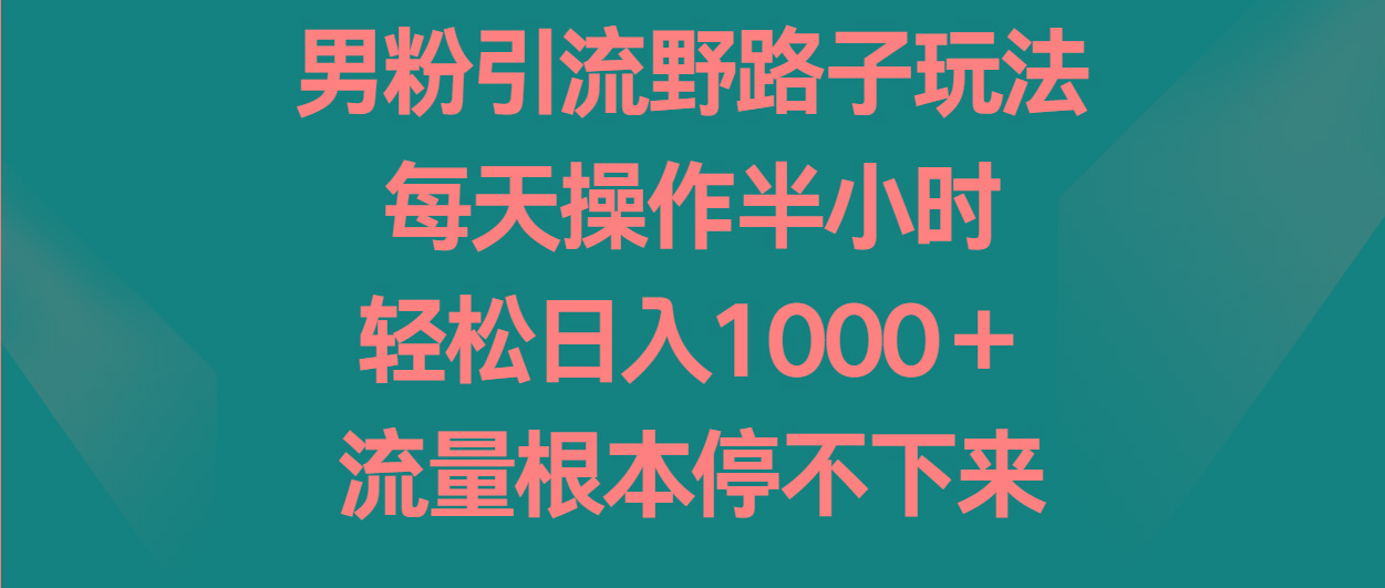 男粉引流野路子玩法，每天操作半小时轻松日入1000＋，流量根本停不下来-泱泱学习社