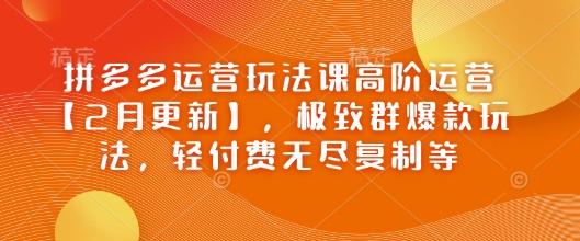 拼多多运营玩法课高阶运营【2月更新】，极致群爆款玩法，轻付费无尽复制等-泱泱学习社