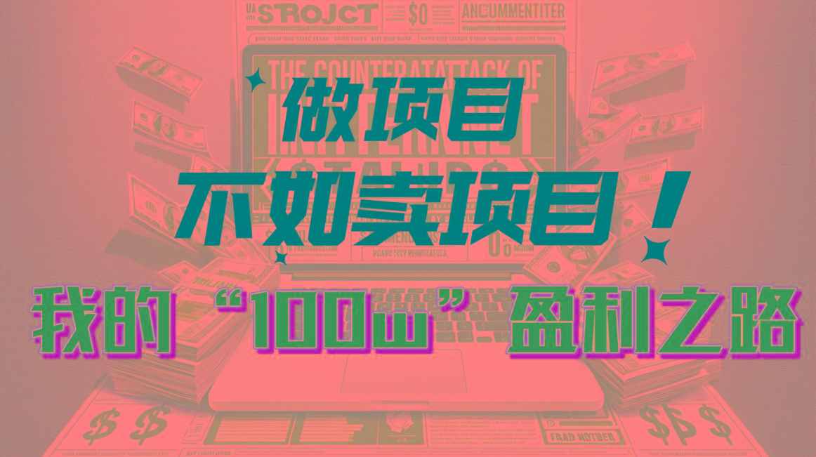为什么做项目不如卖项目？我的100W+盈利之路-泱泱学习社