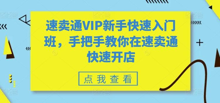 速卖通VIP新手快速入门班，手把手教你在速卖通快速开店-泱泱学习社