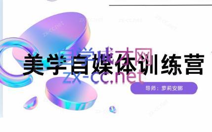 安娜·美学自媒体IP系统课-泱泱学习社