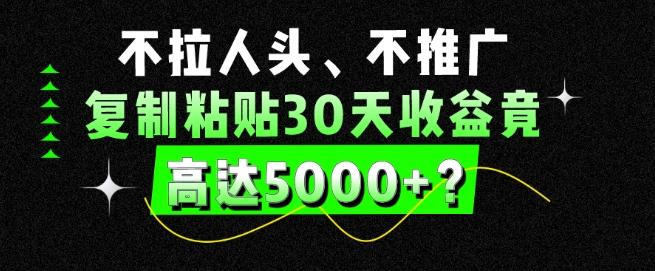 不拉人头、不推广，复制粘贴30天收益竟高达5000+？-泱泱学习社