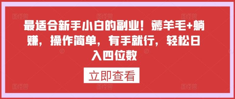 最适合新手小白的副业！薅羊毛+躺赚，操作简单，有手就行，轻松日入四位数【揭秘】-泱泱学习社