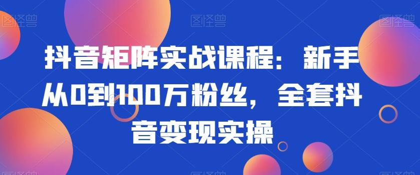 抖音矩阵实战课程：新手从0到100万粉丝，全套抖音变现实操-泱泱学习社