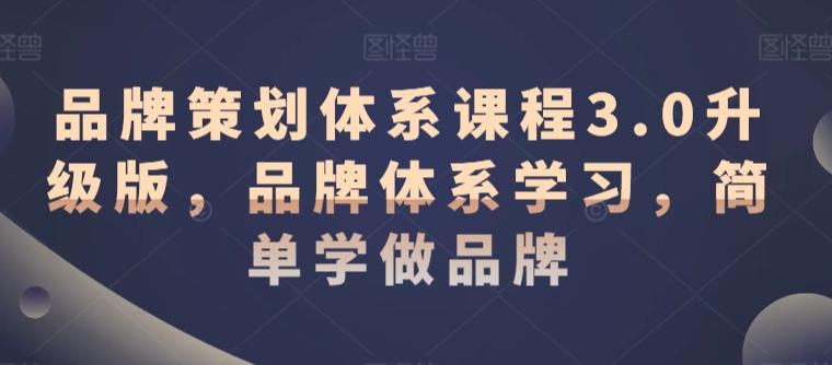 品牌策划体系课程3.0升级版，品牌体系学习，简单学做品牌-泱泱学习社