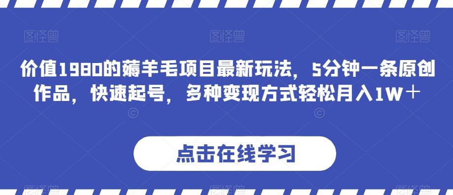 价值1980的薅羊毛项目最新玩法，5分钟一条原创作品，快速起号，多种变现方式轻松月入1W＋【揭秘】-泱泱学习社