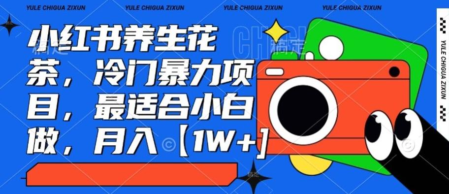 小红书养生花茶，冷门暴力项目，最适合小白做，月入【1W+】-泱泱学习社