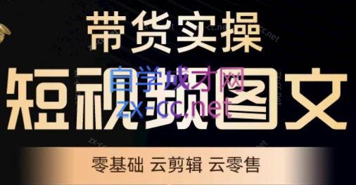 鑫哥·2024零基础短视频带货实操营-泱泱学习社