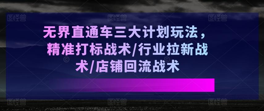 无界直通车三大计划玩法，精准打标战术/行业拉新战术/店铺回流战术-泱泱学习社