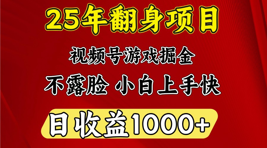 一天收益1000+ 25年开年落地好项目-泱泱学习社