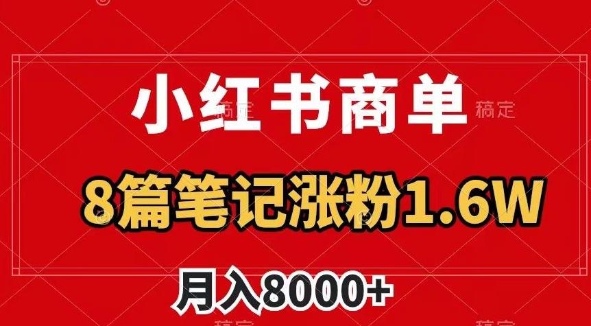 小红书商单最新玩法，8篇笔记涨粉1.6w，作品制作简单，月入8000+【揭秘】-泱泱学习社