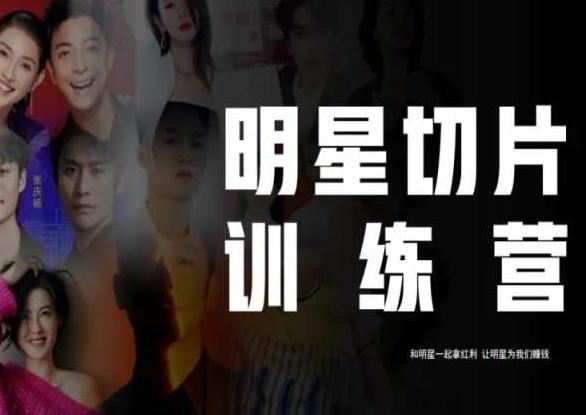 王子·明星切片线上训练营（2023），和明星一起拿红利，让明星为我们赚钱-泱泱学习社