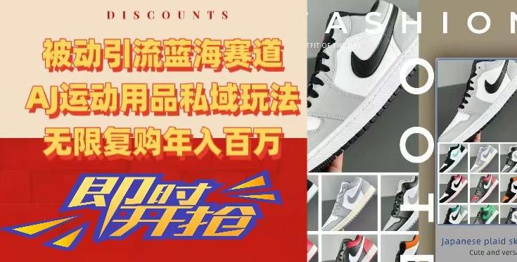 被动引流蓝海赛道，AJ运动用品私域玩法，无限复购年入百万【揭秘】-泱泱学习社