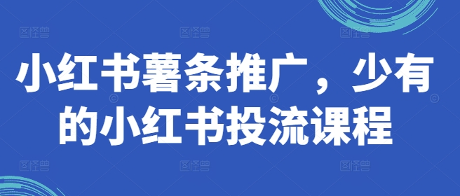 小红书薯条推广，少有的小红书投流课程-泱泱学习社