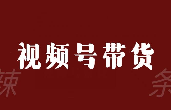 视频号带货联盟，赚信息差的带货钱，只需手机随时随地都可以做！-泱泱学习社