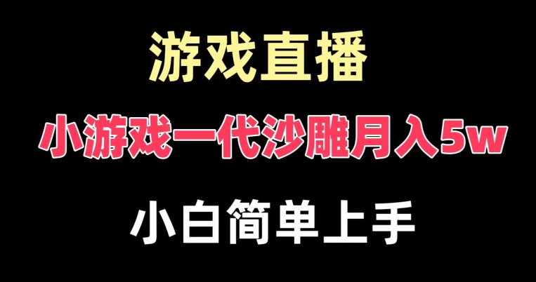 玩小游戏一代沙雕月入5w，爆裂变现，快速拿结果，高级保姆式教学【揭秘】-泱泱学习社