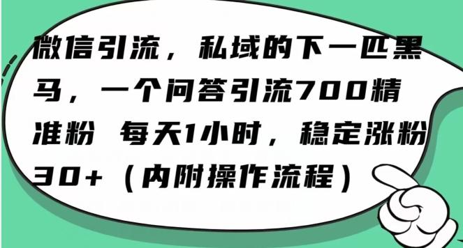 怎么搞精准创业粉？微信新赛道，每天一小时，利用Ai一个问答日引100精准粉-泱泱学习社