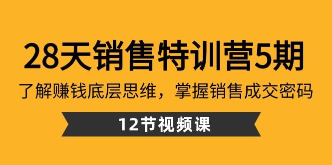 28天销售特训营5期：了解赚钱底层思维，掌握销售成交密码（12节课）-泱泱学习社