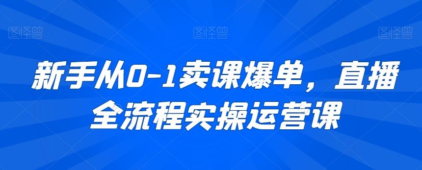 新手从0-1卖课爆单，直播全流程实操运营课-泱泱学习社