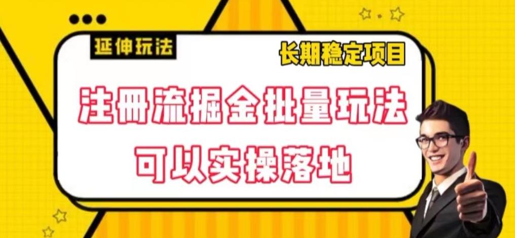 注册流掘金批量玩法，可以实操落地【揭秘】-泱泱学习社