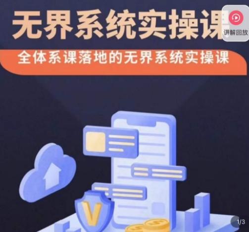 老衲·无界系统实操课，全体系落地无界改版后选择、出价、高投产做付费引流-泱泱学习社