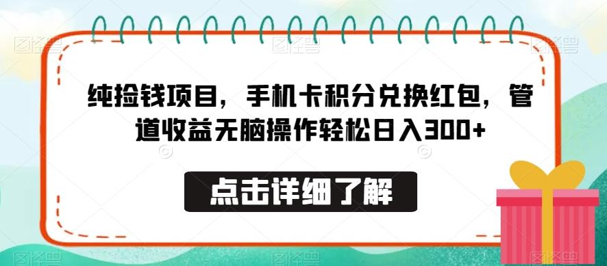 纯捡钱项目，手机卡积分兑换红包，管道收益无脑操作轻松日入300+-泱泱学习社