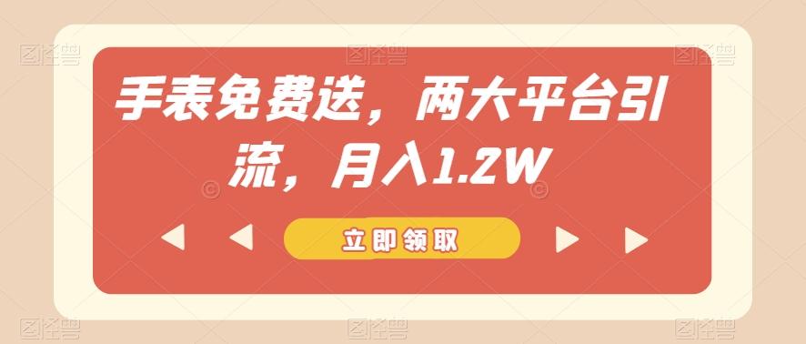手表免费送，两大平台引流，月入1.2W【揭秘】-泱泱学习社