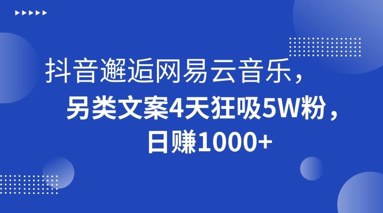 抖音邂逅网易云音乐，另类文案4天狂吸5W粉，日赚1000+【揭秘】-泱泱学习社