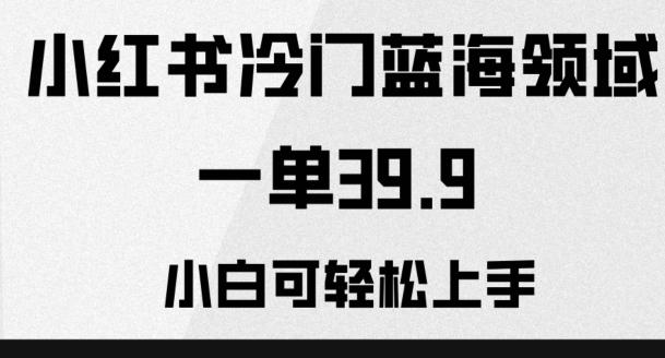 小红书冷门蓝海领域，一单39.9，小白可轻松上手-泱泱学习社