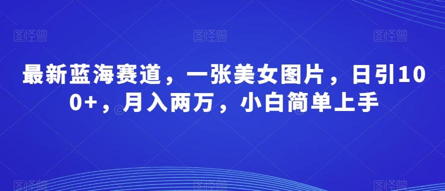 最新蓝海赛道，一张美女图片，日引100+，月入两万，小白简单上手-泱泱学习社