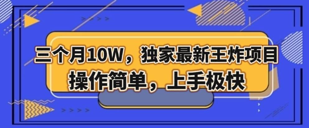 三个月10W，独家最新王炸项目！操作简单，上手极快【揭秘】-泱泱学习社