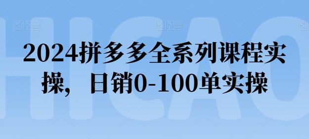 2024拼多多全系列课程实操，日销0-100单实操【必看】-泱泱学习社