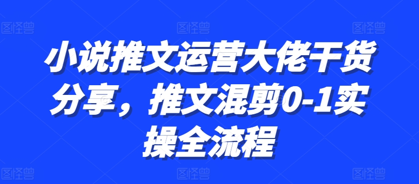 小说推文运营大佬干货分享，推文混剪0-1实操全流程-泱泱学习社