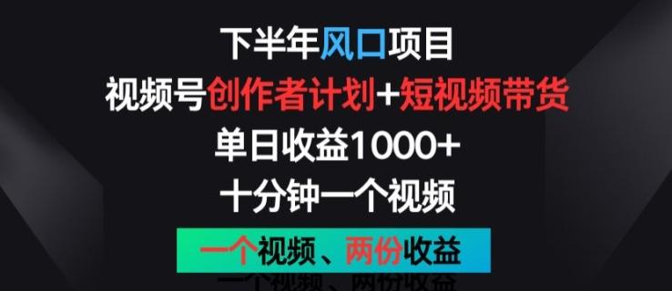 下半年风口项目，视频号创作者计划+视频带货，一个视频两份收益，十分钟一个视频【揭秘】-泱泱学习社