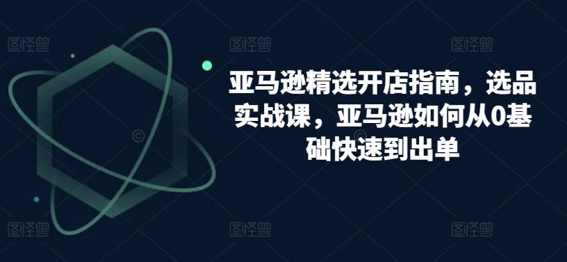亚马逊精选开店指南，选品实战课，亚马逊如何从0基础快速到出单-泱泱学习社