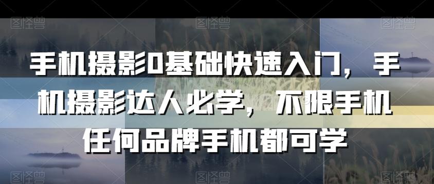 手机摄影0基础快速入门，手机摄影达人必学，不限手机任何品牌手机都可学-泱泱学习社