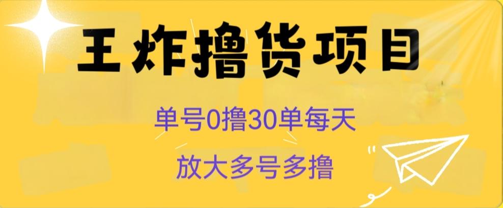 王炸撸货项目，单号0撸30单每天，多号多撸【揭秘】-泱泱学习社