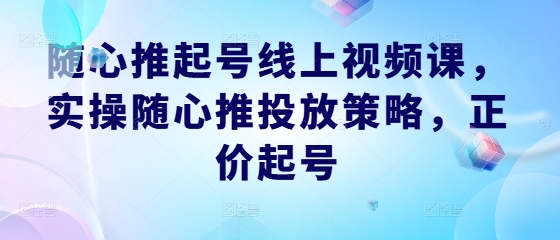 随心推起号线上视频课，实操随心推投放策略，正价起号-泱泱学习社