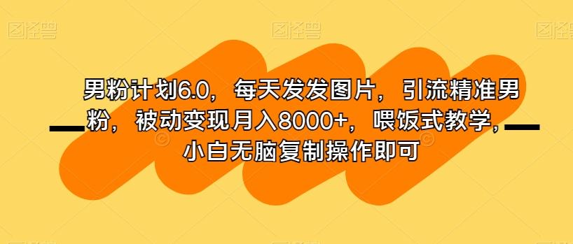 男粉计划6.0，每天发发图片，引流精准男粉，被动变现月入8000+，喂饭式教学，小白无脑复制操作即可-泱泱学习社