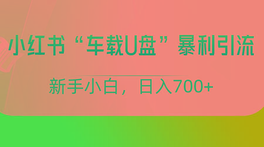 小红书“车载U盘”项目，暴利引流，新手小白轻松日入700+-泱泱学习社