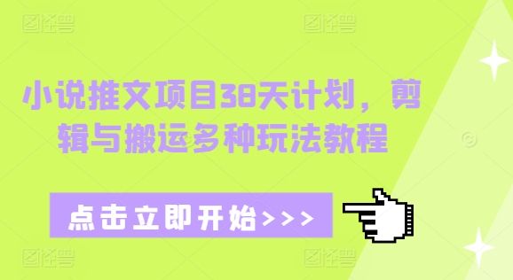 小说推文项目38天计划，剪辑与搬运多种玩法教程-泱泱学习社