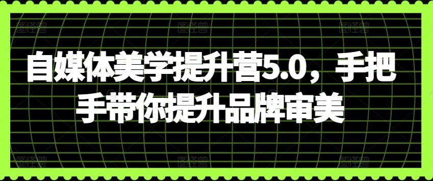 自媒体美学提升营5.0，手把手带你提升品牌审美-泱泱学习社