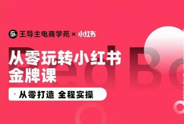 王导主·小红书电商运营实操课，​从零打造  全程实操-泱泱学习社