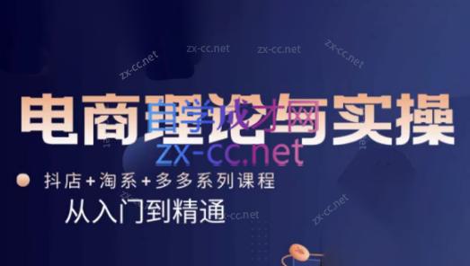 磊子·电商理论与实操(抖店+淘系+拼多多)-泱泱学习社