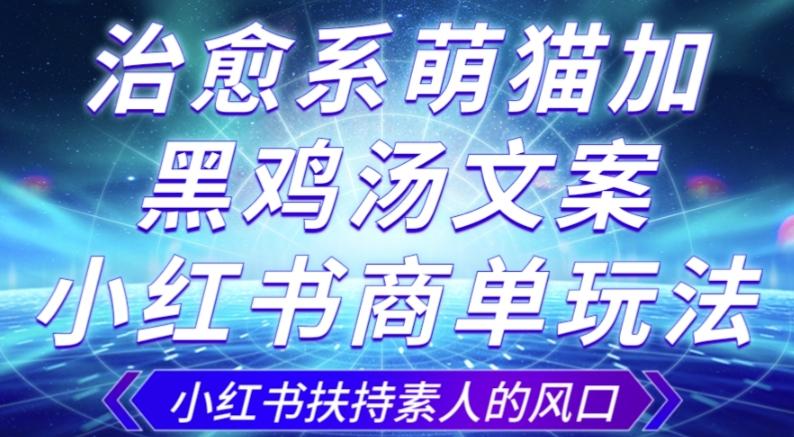 治愈系萌猫加+黑鸡汤文案，小红书商单玩法，3~10天涨到1000粉，一单200左右-泱泱学习社
