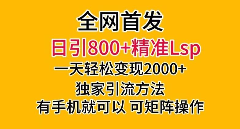 全网首发！日引800+精准老色批，一天变现2000+，独家引流方法，可矩阵操作【揭秘】-泱泱学习社