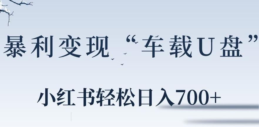 小红书“车载U盘”暴利引流，日入700+-泱泱学习社