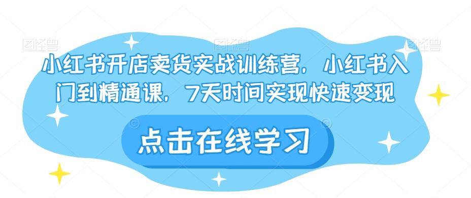 小红书开店卖货实战训练营，小红书入门到精通课，7天时间实现快速变现-泱泱学习社